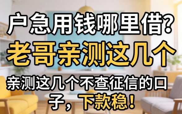 黑户急用钱哪里借？老哥亲测这几个不查征信的口子，下款稳！