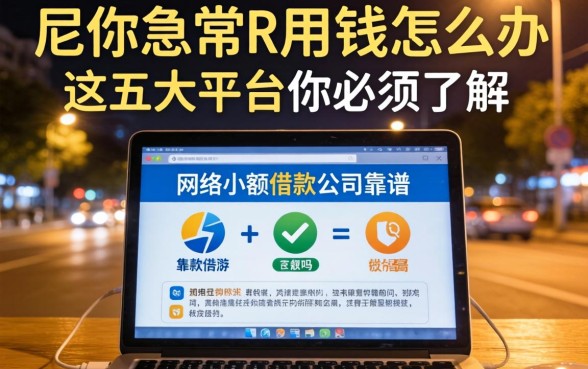 深夜急需用钱怎么办？网络小额借款公司靠谱吗？这五大平台你必须了解
