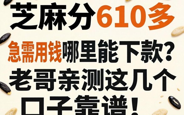芝麻分610多，急需用钱哪里能下款？老哥亲测这几个口子靠谱！