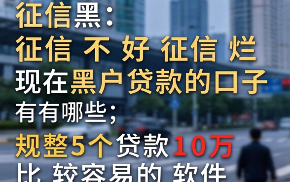 征信黑征信不好征信烂现在黑户贷款的口子有哪些,规整5个贷款10万比较容易的软件