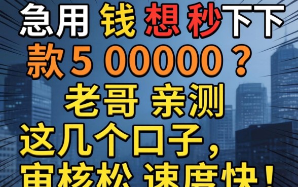 急用钱想秒下款5000？老哥亲测这几个口子，审核松速度快！