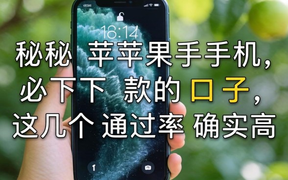 揭秘苹果手机必下款的口子，这几个通过率确实高