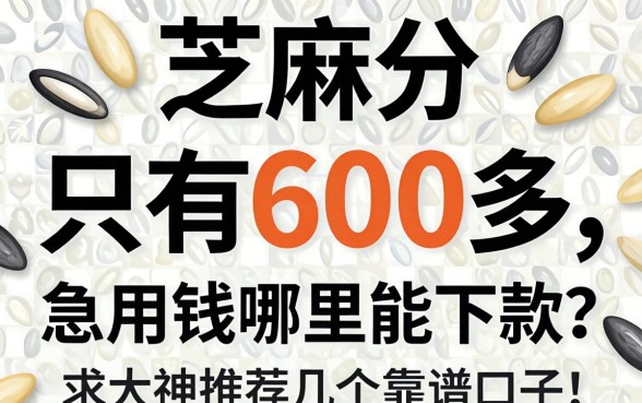 芝麻分只有600多，急用钱哪里能下款？求大神推荐几个靠谱口子！