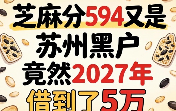 我芝麻分594又是苏州黑户，竟然在2027年借到了5万