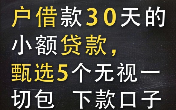 黑户借款30天的小额贷款,甄选5个无视一切包下款口子