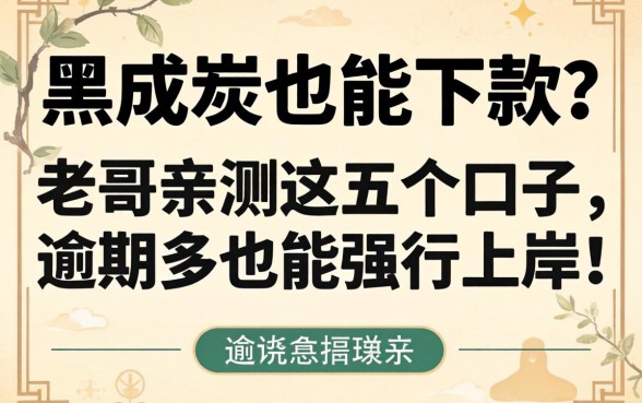 征信黑成炭也能下款?老哥亲测这五个口子,逾期多也能强行上岸!