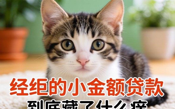 那些不容易被拒的小额贷款,到底藏了什么猫腻?