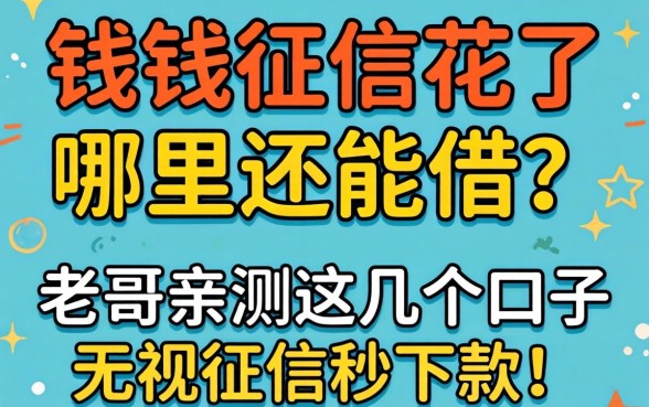 急需用钱征信花了哪里还能借？老哥亲测这几个口子无视征信秒下款！