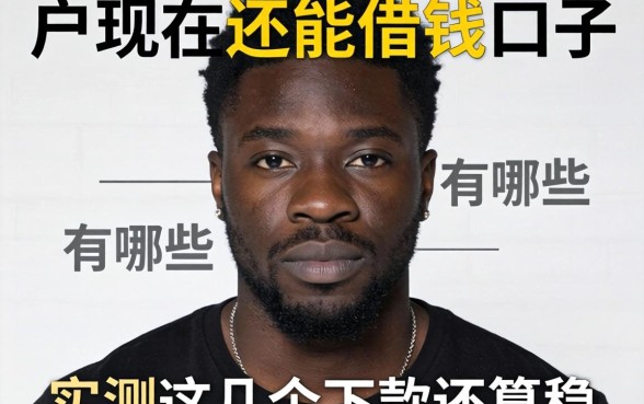 黑户现在还能借钱的口子有哪些？实测这几个下款还算稳