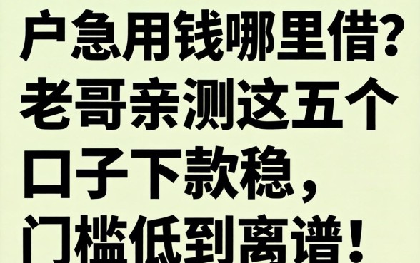 黑户急用钱哪里借？老哥亲测这五个口子下款稳，门槛低到离谱！