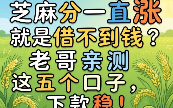 芝麻分一直涨就是借不到钱？老哥亲测这五个口子，下款稳！
