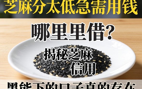 芝麻分太低急需用钱哪里借?揭秘芝麻信用黑能下的口子真的存在吗?