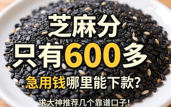 芝麻分只有600多，急用钱哪里能下款？求大神推荐几个靠谱口子！