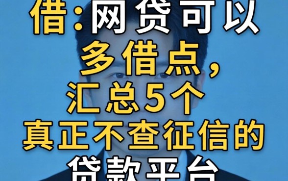 怎么借网贷可以多借点，汇总5个真正不查征信的贷款平台