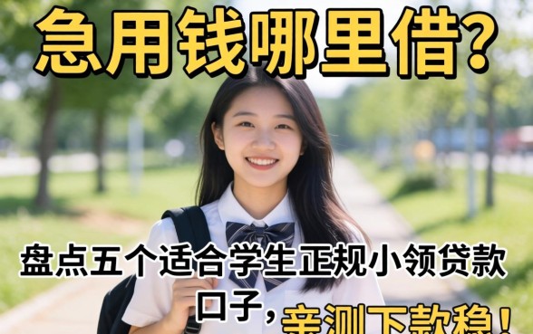 大学生急用钱哪里借？盘点五个适合学生的正规小额贷款口子，亲测下款稳！