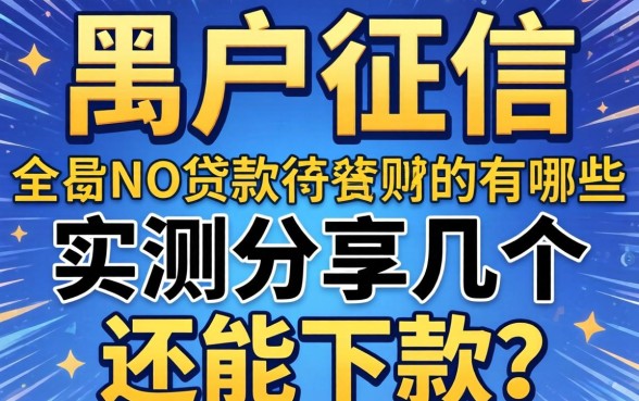 无视黑户征信的贷款有哪些？实测分享几个还能下款的口子