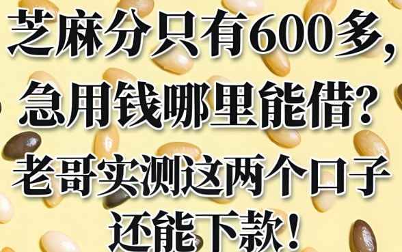 芝麻分只有600多，急用钱哪里能借？老哥实测这几个口子还能下款！
