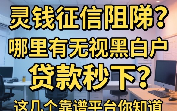 急需用钱却因征信受阻？哪里有无视黑白户的贷款秒下？这几个靠谱平台你知道吗？