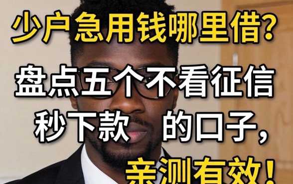 黑户急用钱哪里借？盘点五个不看征信秒下款的口子，亲测有效！