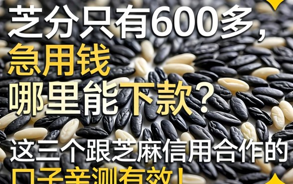 芝麻分只有600多，急用钱哪里能下款？这几个跟芝麻信用合作的口子亲测有效！