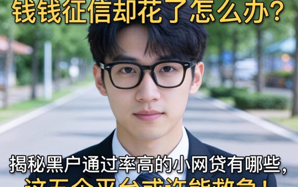 急需用钱征信却花了怎么办？揭秘黑户通过率高的小网贷有哪些，这五个平台或许能救急