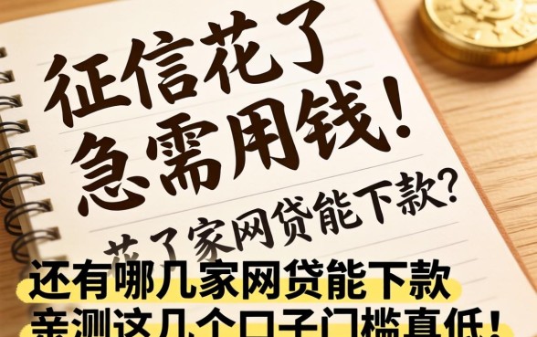 2026年征信花了急需用钱,还有哪几家网贷能下款?亲测这几个口子门槛真低!