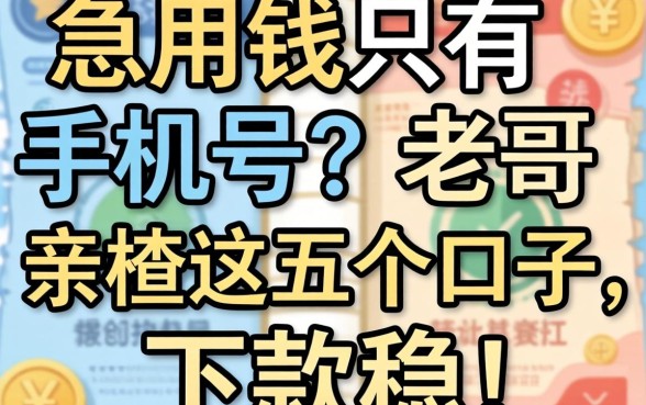 急用钱只有手机号?老哥亲测这五个口子,下款稳!
