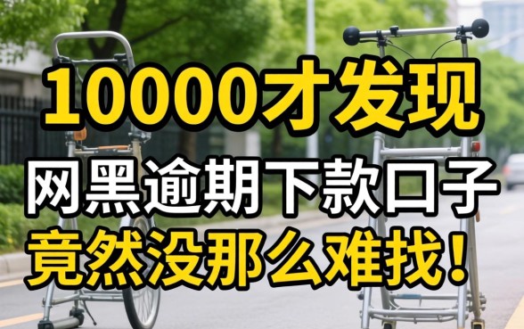 我借了10000才发现,网黑逾期下款口子竟然没那么难找