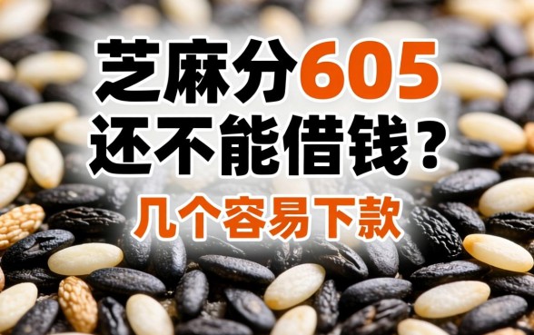 芝麻分605还不能借钱？分享几个容易下款的口子