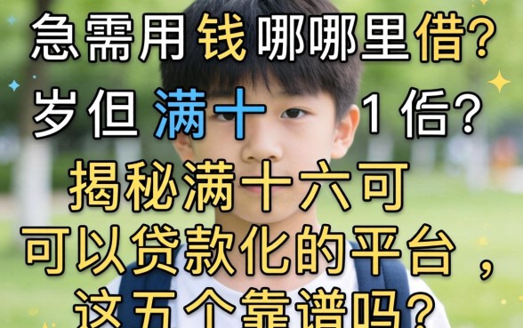 刚满十六岁急需用钱哪里借？揭秘满十六可以贷款的平台，这五个靠谱吗？