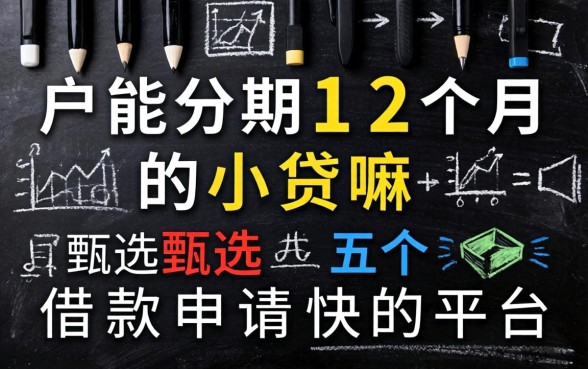 黑户能分期12个月的小贷嘛，甄选五个借款申请快的平台