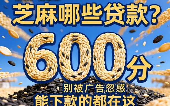 芝麻600分有哪些贷款？别被广告忽悠，能下款的都在这