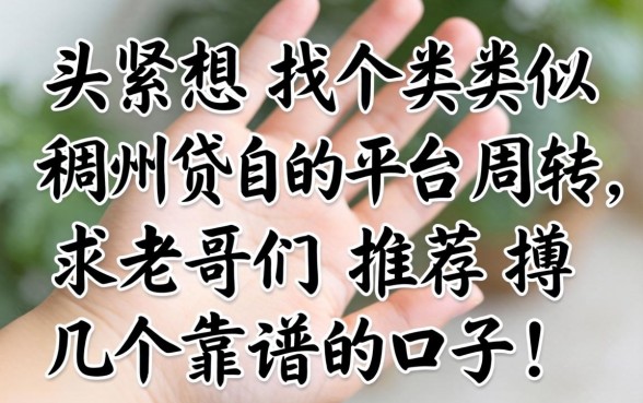 手头紧想找个类似稠州贷的平台周转,求老哥们推荐几个靠谱的口子!