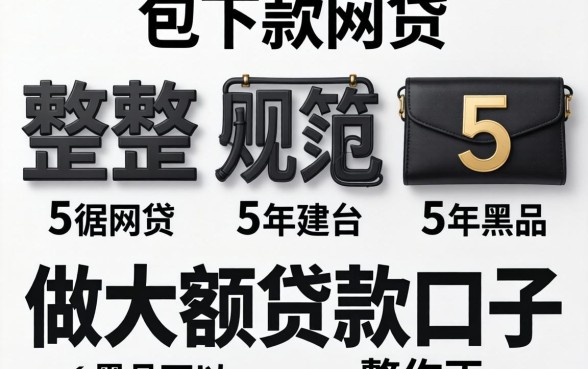 最新包下款网贷，规整5个黑户可以做大额贷款口子