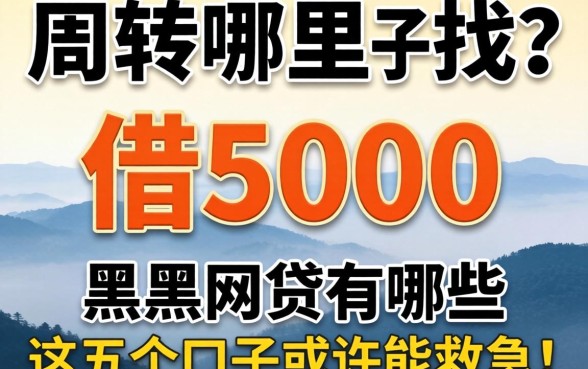 急需周转哪里找？能借5000的黑户网贷有哪些，这五个口子或许能救急！