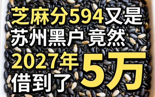 我芝麻分594又是苏州黑户，竟然在2027年借到了5万