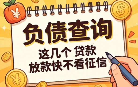 无视负债查询的大额贷款，这几个放款快不看征信