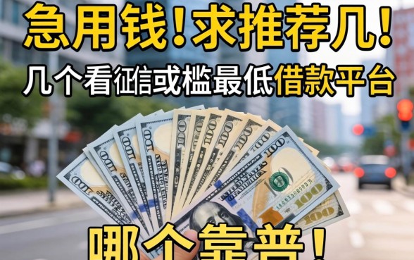 真的急用钱！求推荐几个不看征信或者门槛最低的借款平台，哪个靠谱？