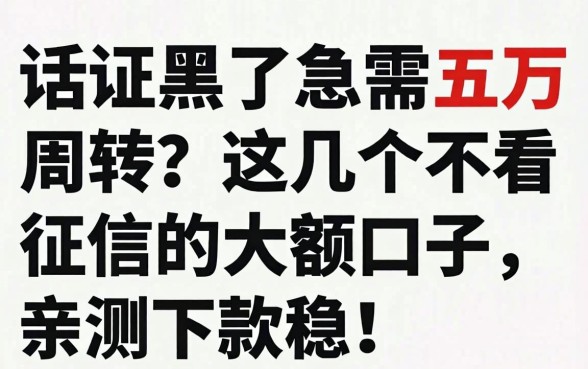 征信黑了急需五万周转?这几个不看征信的大额口子,亲测下款稳!