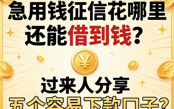 急用钱征信花哪里还能借到钱？过来人分享五个容易下款的口子