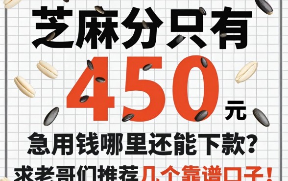 芝麻分只有450，急用钱哪里还能下款？求老哥们推荐几个靠谱口子！