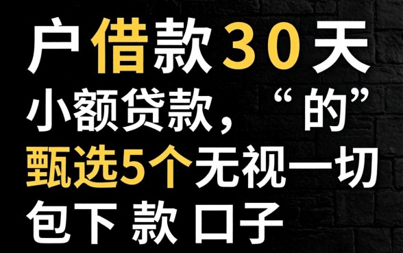 黑户借款30天的小额贷款,甄选5个无视一切包下款口子