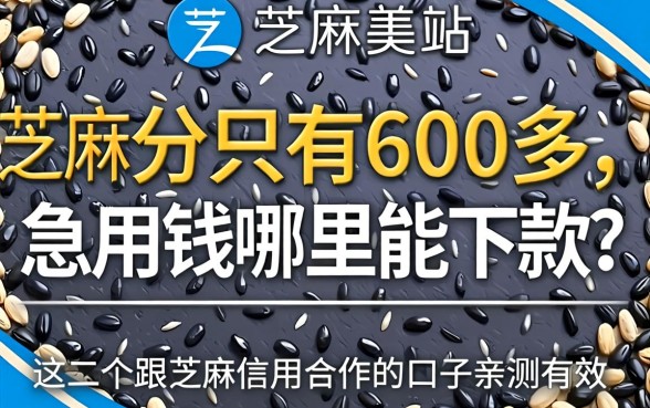 芝麻分只有600多，急用钱哪里能下款？这几个跟芝麻信用合作的口子亲测有效！