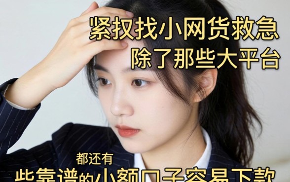 手头紧想找小网贷救急，除了那些大平台，还有哪些靠谱的小额口子容易下款？