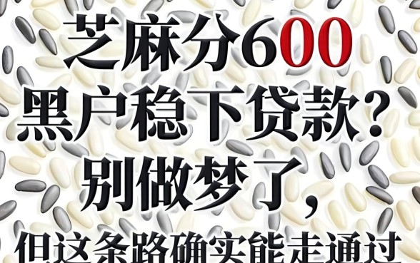 芝麻分600黑户稳下贷款?别做梦了,但这条路确实能走通