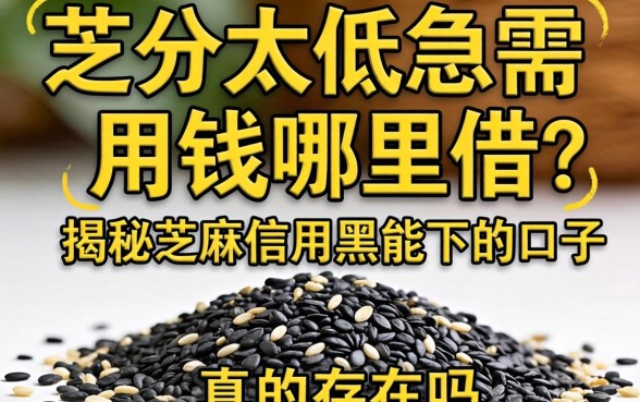 芝麻分太低急需用钱哪里借?揭秘芝麻信用黑能下的口子真的存在吗?