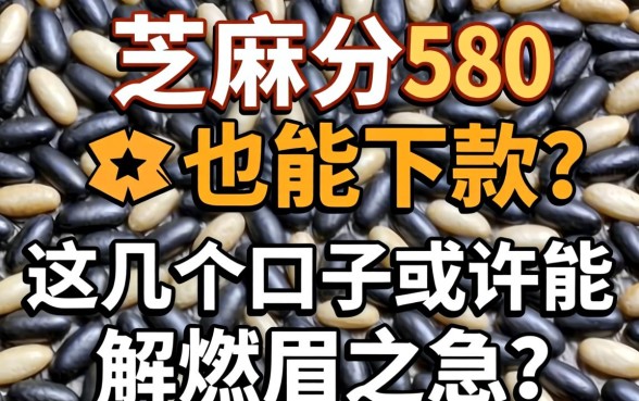 芝麻分580也能下款？这几个口子或许能解燃眉之急