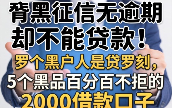 个人征信无逾期却不能贷款，罗列5个黑户百分百不拒的2000借款口子