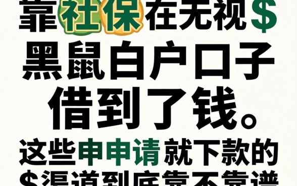我靠社保在无视黑白户的口子借到了钱，这些申请就下款的渠道到底靠不靠谱
