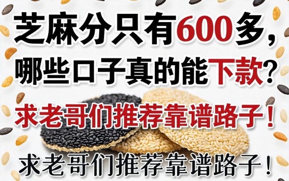 芝麻分只有600多,哪些口子真的能下款?求老哥们推荐靠谱路子!